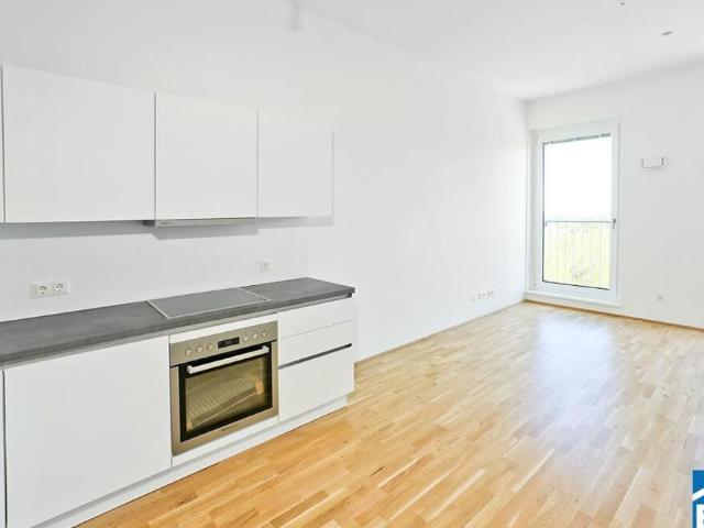 Wohnung mieten in KG Innere Stadt, Wien