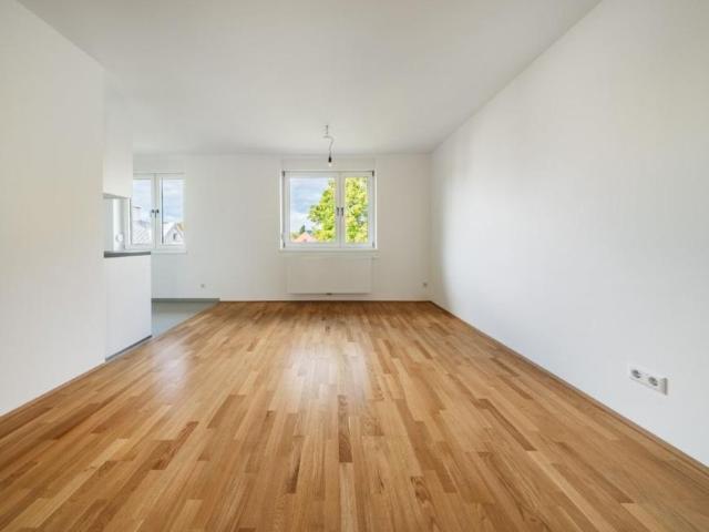 Wohnung kaufen in KG Innere Stadt, Wien