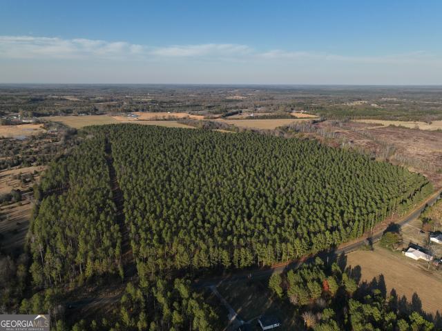 Land for sale in Calhoun Falls, South Carolina