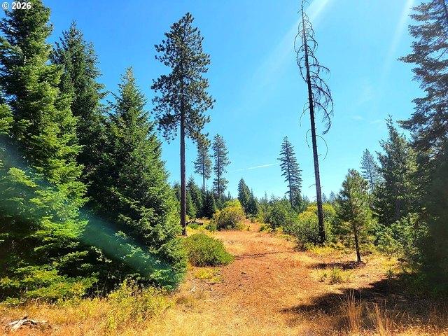 Land for sale in Goldendale, Klickitat County
