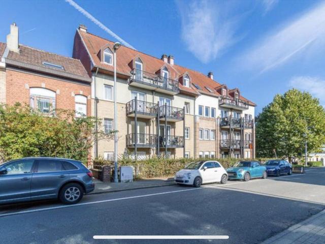 Appartement location à Eizingen, Halle