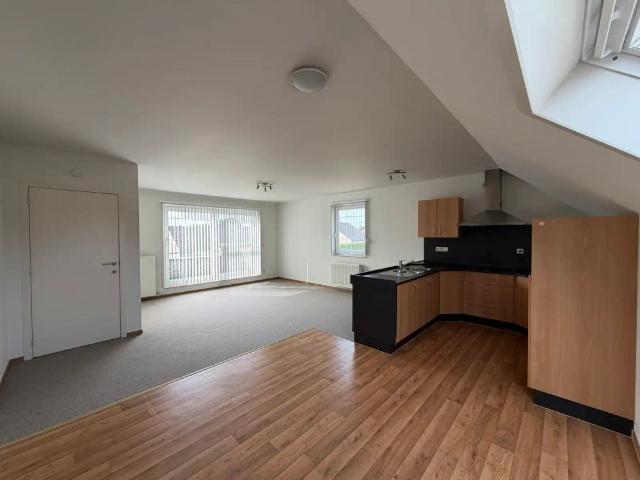 Appartement location à Peer, Limburg