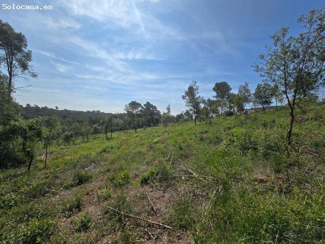 Local Comercial en venta en Vallès Oriental, Catalunya