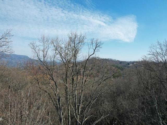 Land for sale in Tennessee