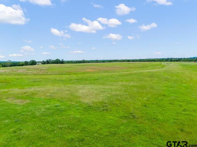 Land for sale in Diana, Texas