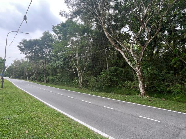 House for rent in Petaling, Subang Jaya