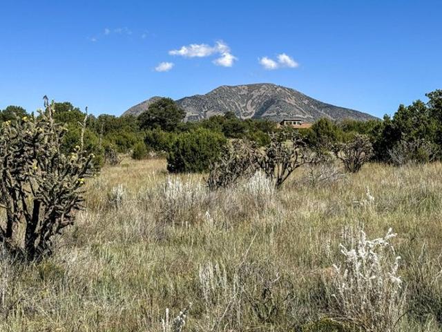 Land for sale in Sandia Park, New Mexico