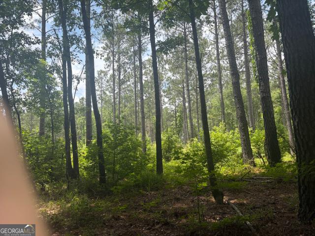 Land for sale in Davisboro, Georgia