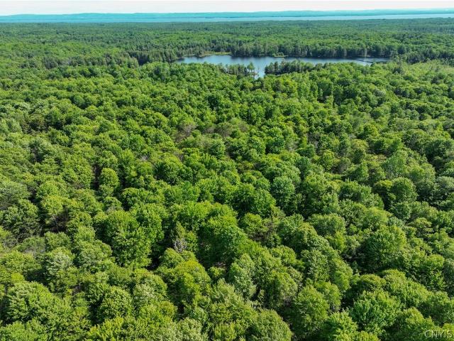 Land for sale in Town of Constantia, Oswego County