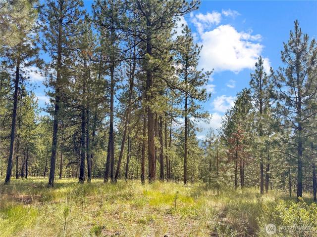 Land for sale in Riverside, Okanogan County