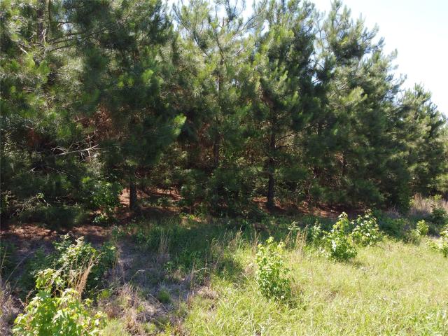 Land for sale in Garrison, Texas