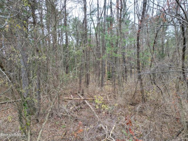Land for sale in Berkshire, Massachusetts