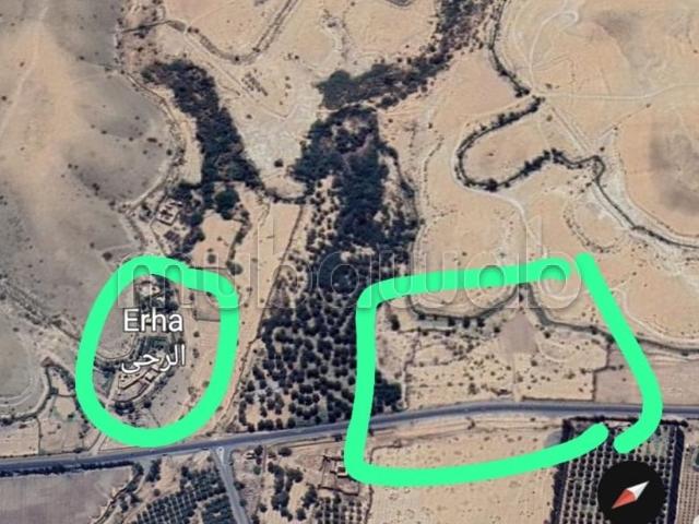 Terrain vente à Saâda, L'Oriental