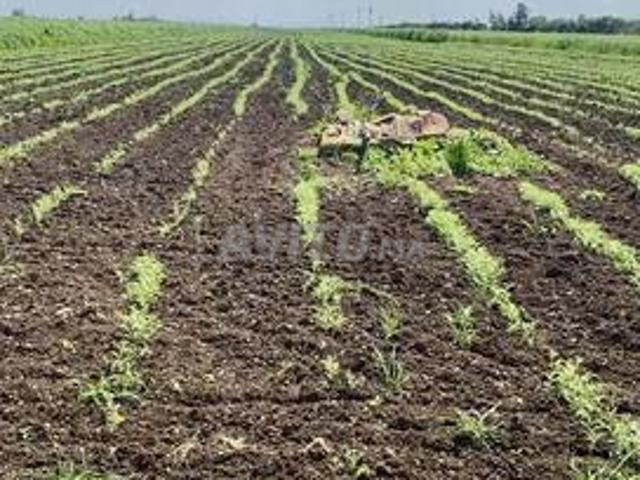 Propriété vente à Gharb-Chrarda-Beni Hssen