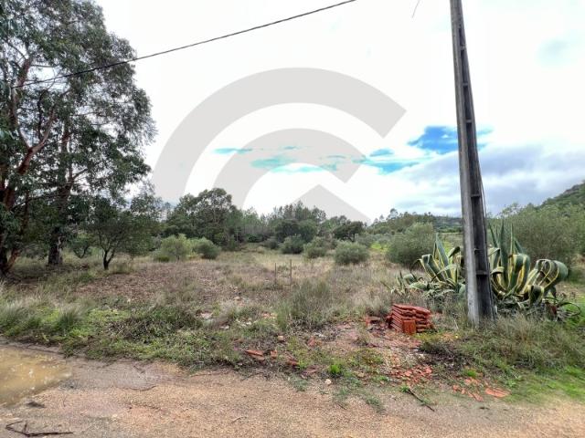 Terreno venda em Torres Novas, Santarém