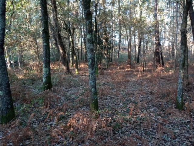 Terreno venda em Anais, Anais