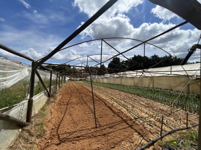 Terreno venda em Pardielas, Rego Da Murta