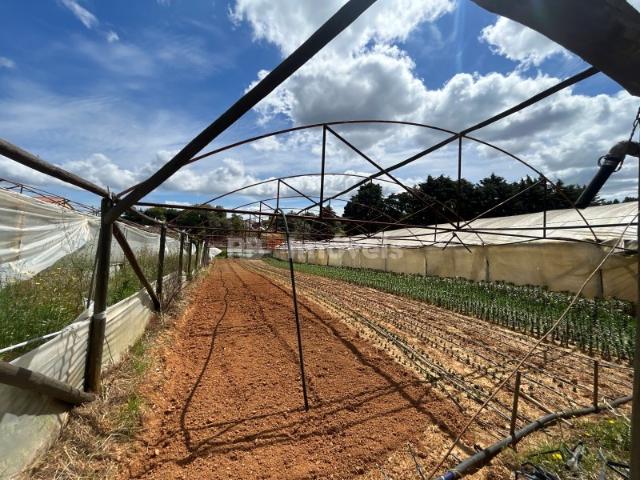 Terreno venda em Pardielas, Rego Da Murta