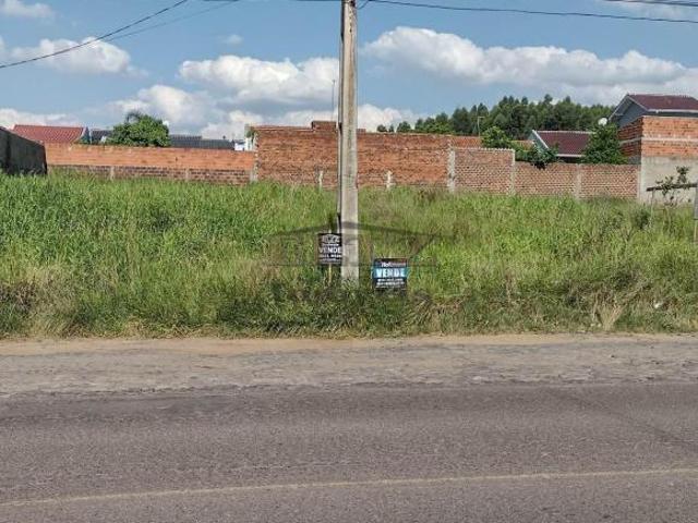 Terreno venda em Região Geográfica Imediata de Novo Hamburgo - São Leopoldo, Região Metropolitana de Porto Alegre