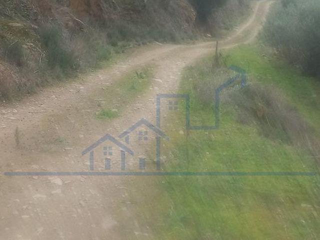 Terreno venda em Freixo Espada À Cinta, Bragança