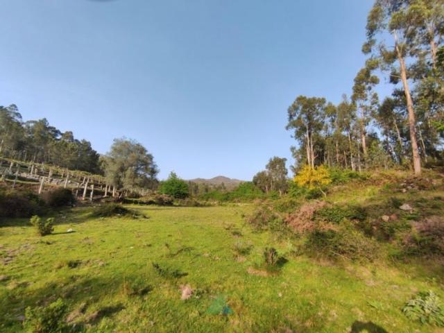 Terreno venda em Arcos De Valdevez, Viana Do Castelo