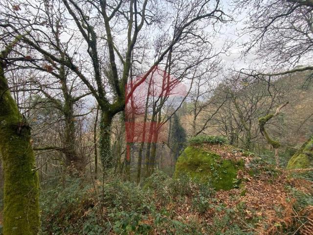 Terreno venda em Grovelas São João Evangelista, Viana Do Castelo