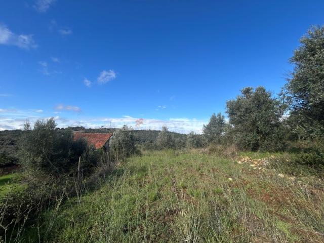 Terreno venda em Tomar, Santarém