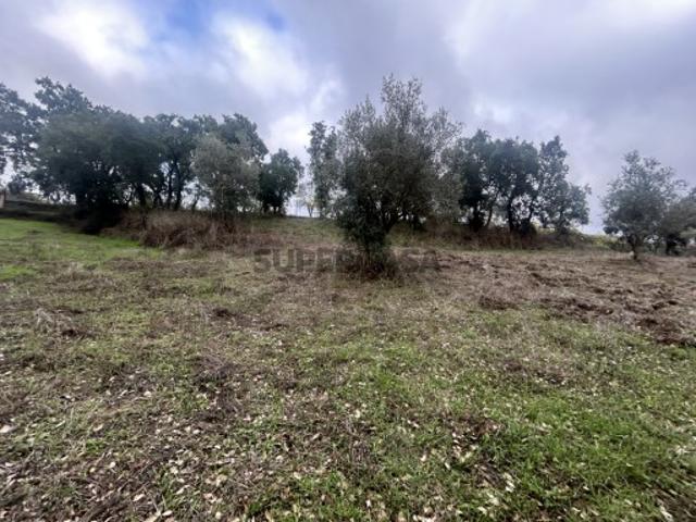 Terreno venda em Tomar, Santarém