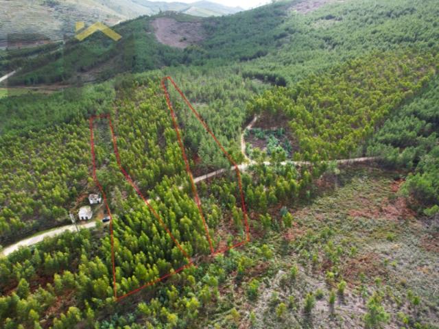 Terreno venda em Castelo Branco, Vila Velha De Ródão