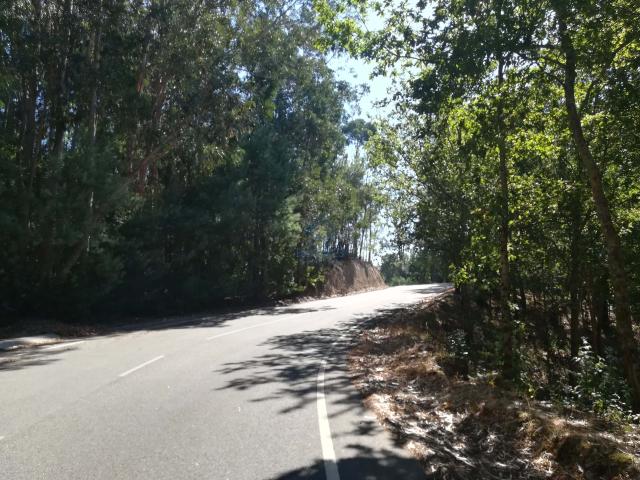 Terreno venda em Tondela, Viseu