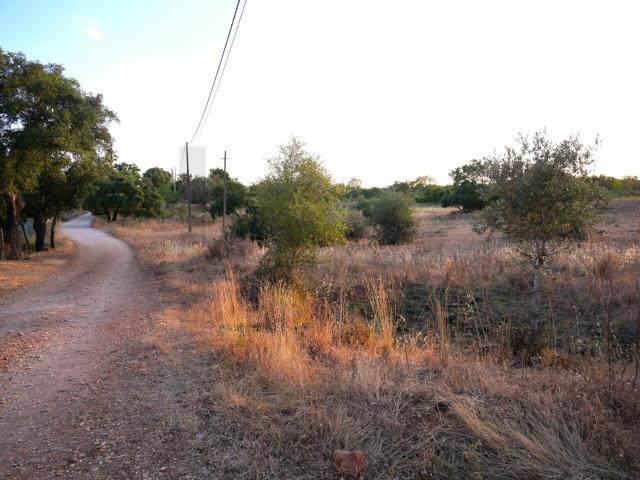 Terreno venda em Silves, Faro