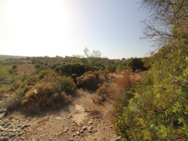 Terreno venda em Faro