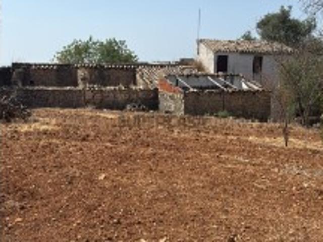Terreno venda em Faro