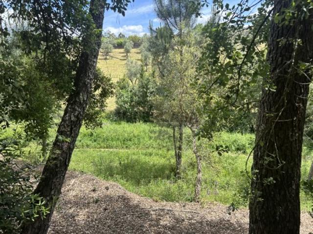 Terreno venda em Rego Da Murta, Santarém