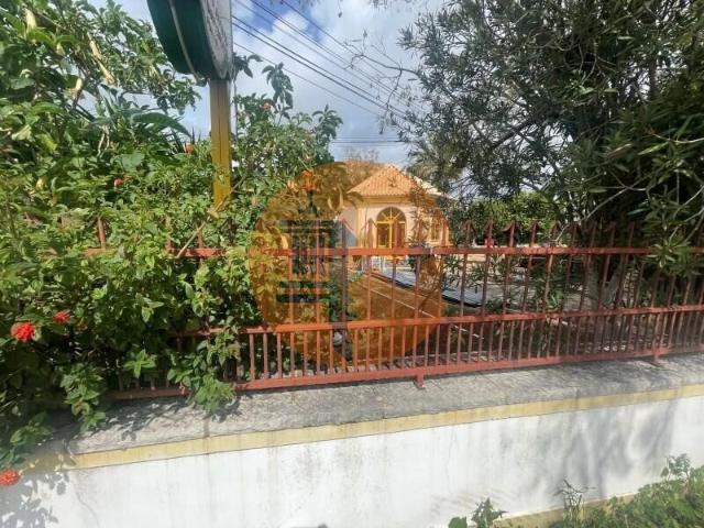 Terreno venda em São Brás De Alportel, Faro