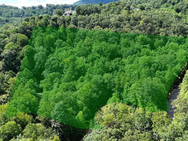 Land for sale in Travelers Rest, South Carolina