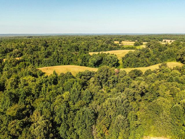Land for sale in Shandy, Toone