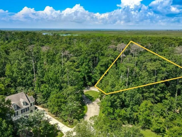 Land for sale in Mandeville, Louisiana
