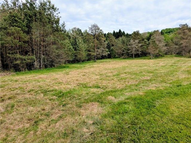 Land for sale in Port Allegany, Pennsylvania