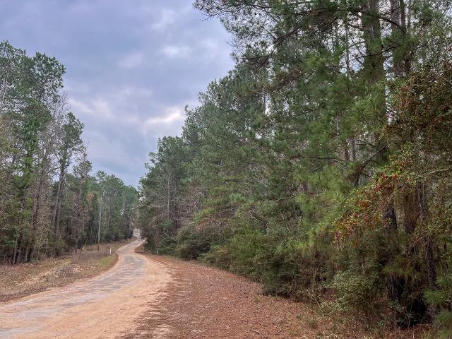 Land for sale in Polk, Texas