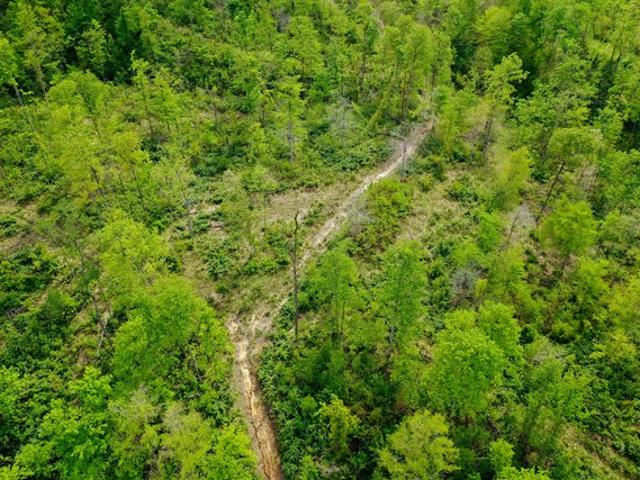 Land for sale in Laurel, Indiana