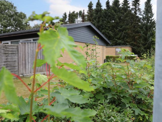Hus til leje i Rødding, Vejen