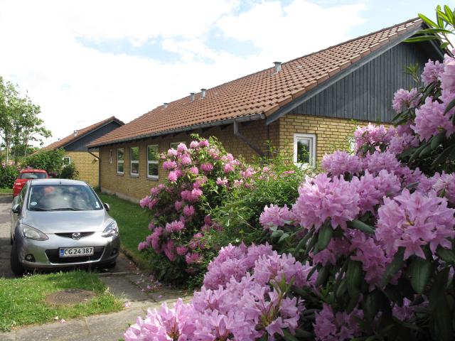 Hus til leje i Andrup, Esbjerg