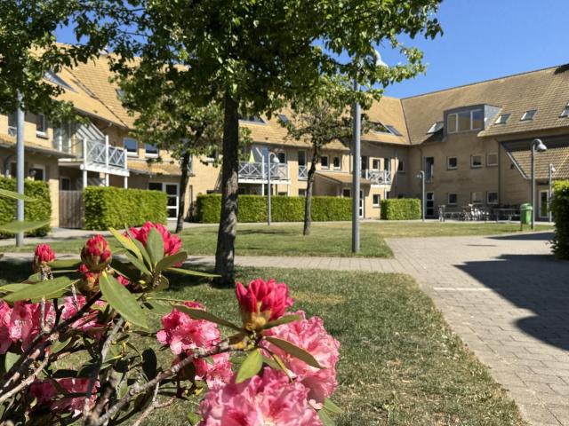 Hus til leje i Hobro, Brønderslev-Dronninglund