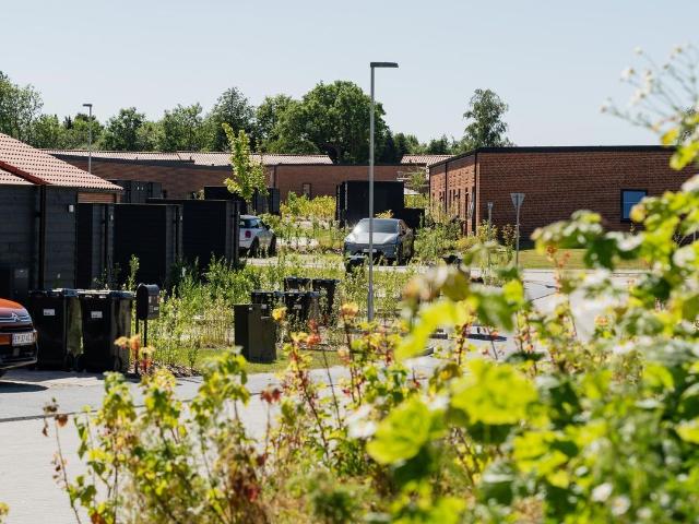 Hus til leje i Vejle