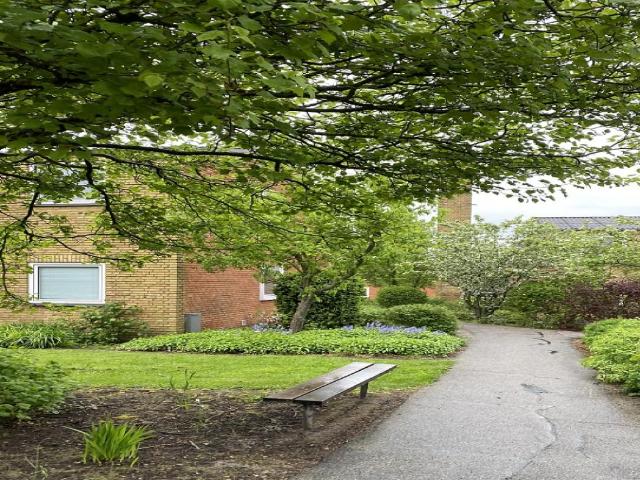 Lejlighed til leje i Skive