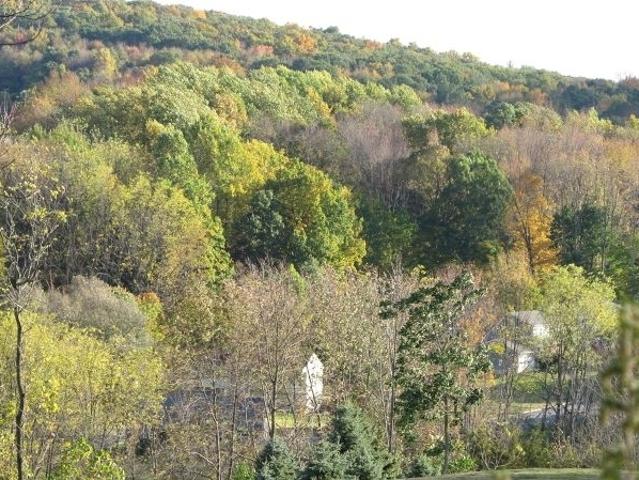 Land for sale in Glenwood, Vernon Township