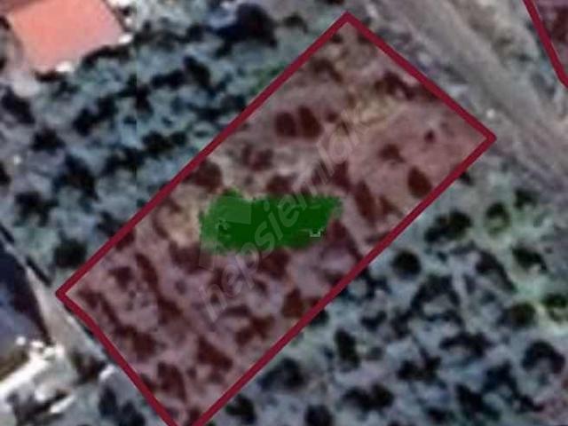 Muğla içerisinde satılık Arsa