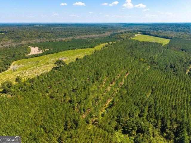 Land for sale in Ideal, Taylor County