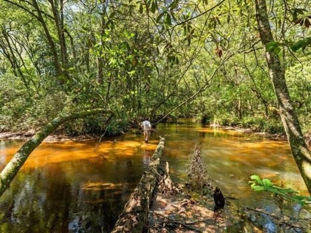 Land for sale in Ideal, Macon County